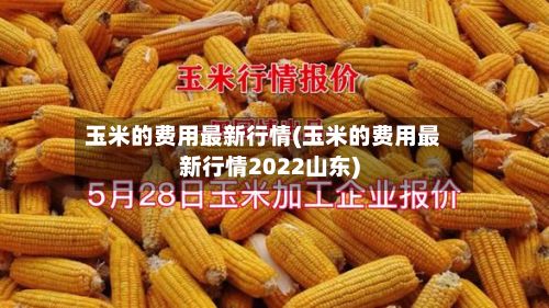 玉米的费用最新行情(玉米的费用最新行情2022山东)