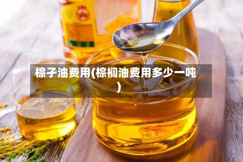 棕孑油费用(棕榈油费用多少一吨)