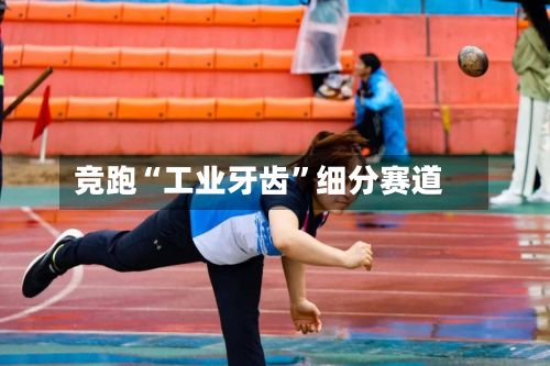 竞跑“工业牙齿”细分赛道