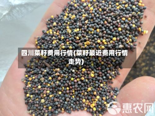 四川菜籽费用行情(菜籽最近费用行情走势)