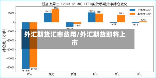 外汇期货汇率费用/外汇期货即将上市