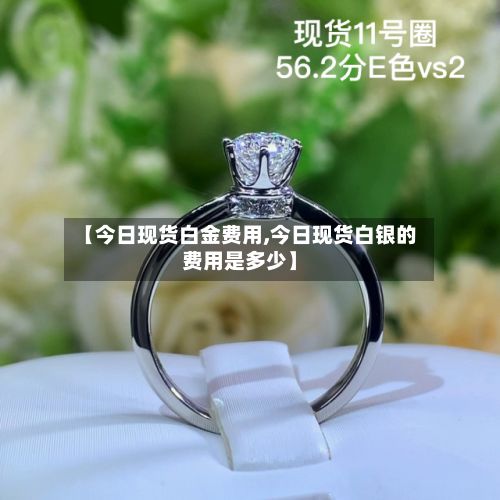 【今日现货白金费用,今日现货白银的费用是多少】