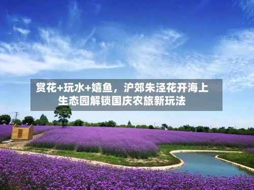 赏花+玩水+嬉鱼，沪郊朱泾花开海上生态园解锁国庆农旅新玩法