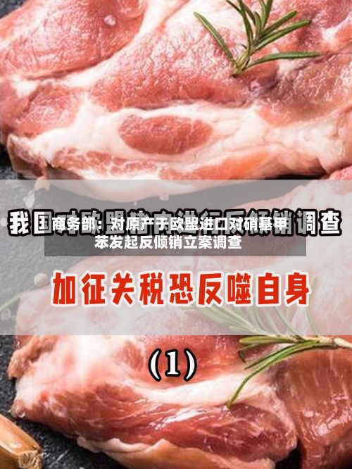商务部：对原产于欧盟进口对硝基甲苯发起反倾销立案调查