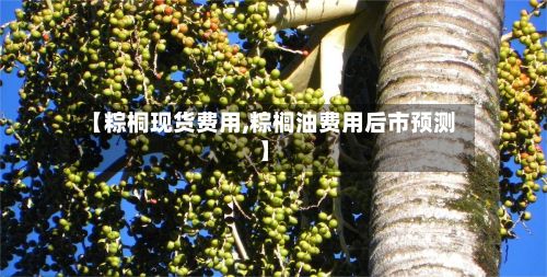 【粽桐现货费用,粽榈油费用后市预测】-第3张图片