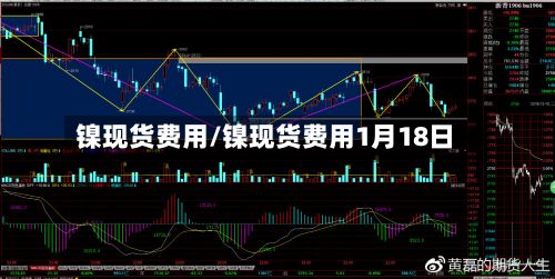镍现货费用/镍现货费用1月18日