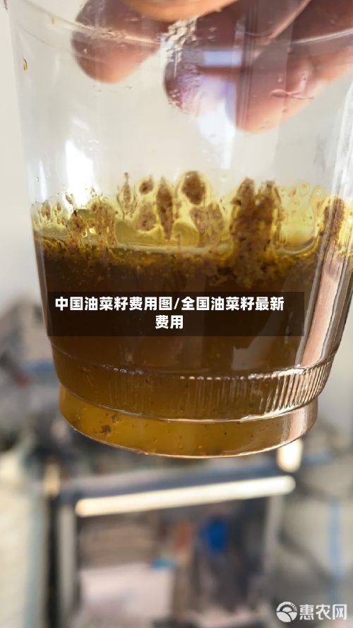 中国油菜籽费用图/全国油菜籽最新费用-第2张图片