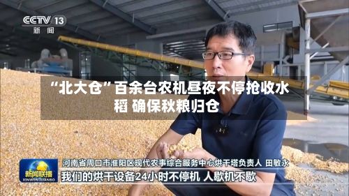 “北大仓”百余台农机昼夜不停抢收水稻 确保秋粮归仓-第2张图片