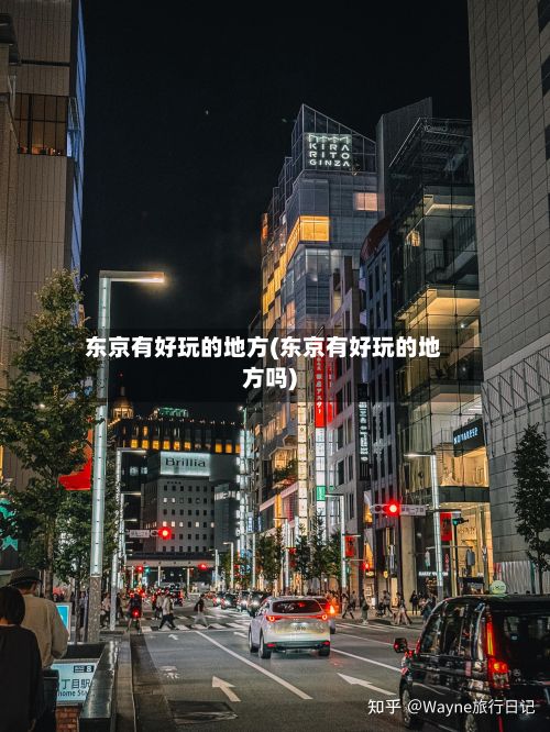 东京有好玩的地方(东京有好玩的地方吗)-第3张图片