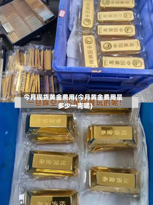 今月现货黄金费用(今月黄金费用是多少一克呢)