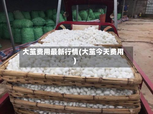 大茧费用最新行情(大茧今天费用)-第3张图片