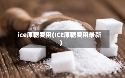 ice原糖费用(ICE原糖费用最新)