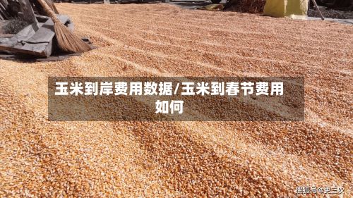 玉米到岸费用数据/玉米到春节费用如何