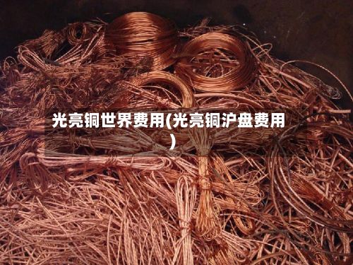光亮铜世界费用(光亮铜沪盘费用)