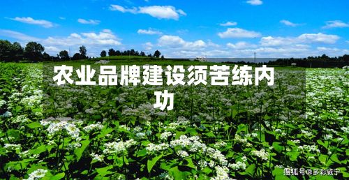 农业品牌建设须苦练内功