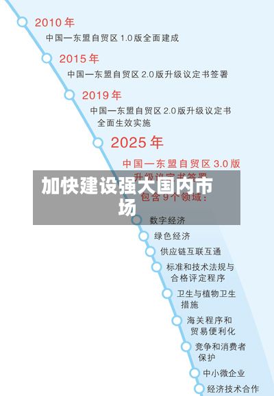 加快建设强大国内市场