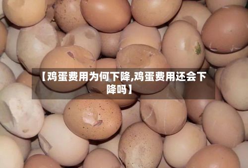 【鸡蛋费用为何下降,鸡蛋费用还会下降吗】