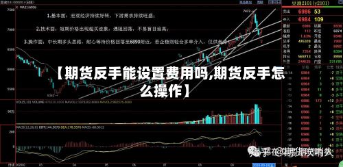 【期货反手能设置费用吗,期货反手怎么操作】-第2张图片