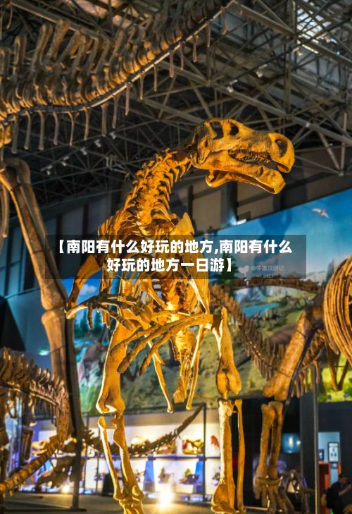 【南阳有什么好玩的地方,南阳有什么好玩的地方一日游】-第2张图片