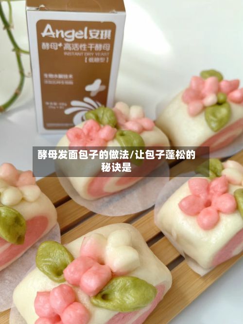 酵母发面包子的做法/让包子蓬松的秘诀是-第2张图片