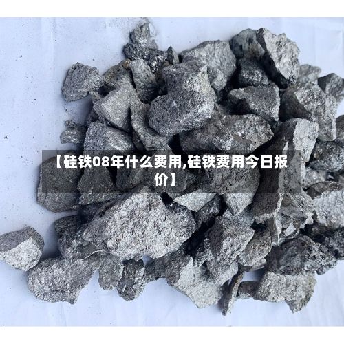 【硅铁08年什么费用,硅铁费用今日报价】
