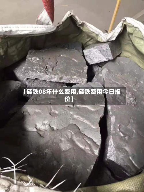 【硅铁08年什么费用,硅铁费用今日报价】-第3张图片