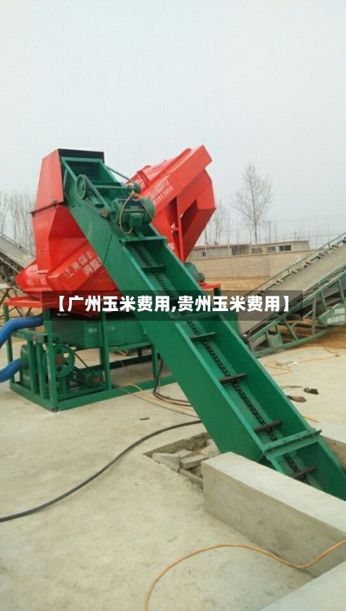 【广州玉米费用,贵州玉米费用】-第3张图片
