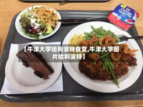 【牛津大学哈利波特食堂,牛津大学图片哈利波特】-第3张图片