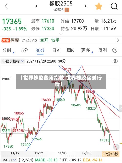 【世界橡胶费用指数,世界橡胶实时行情】