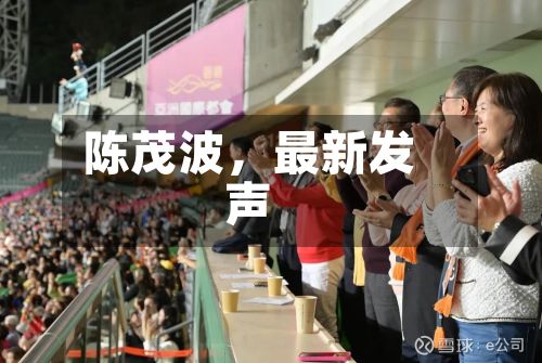 陈茂波	，最新发声-第2张图片