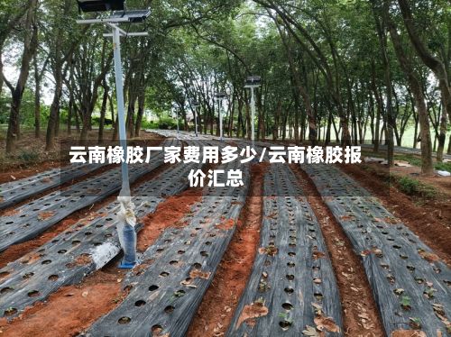 云南橡胶厂家费用多少/云南橡胶报价汇总