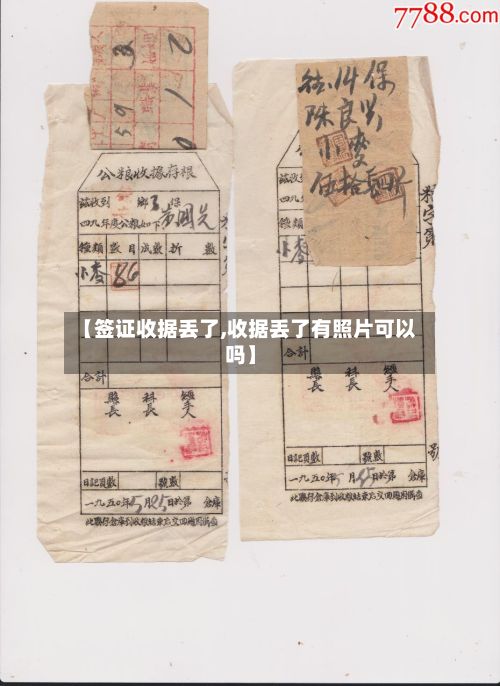 【签证收据丢了,收据丢了有照片可以吗】-第2张图片
