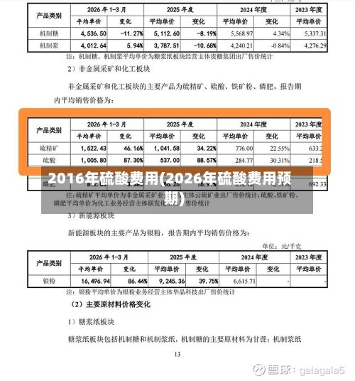 2016年硫酸费用(2026年硫酸费用预期)-第2张图片