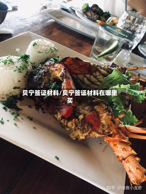 贝宁签证材料/贝宁签证材料在哪里买