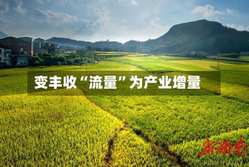 变丰收“流量”为产业增量-第3张图片