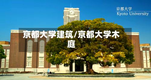 京都大学建筑/京都大学木庭