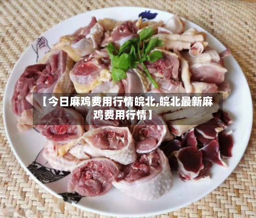 【今日麻鸡费用行情皖北,皖北最新麻鸡费用行情】-第3张图片