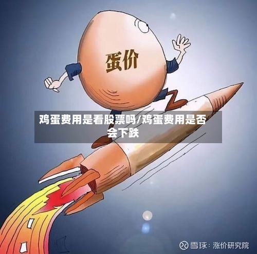 鸡蛋费用是看股票吗/鸡蛋费用是否会下跌-第2张图片