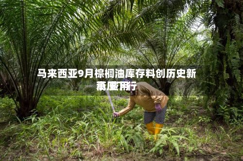 马来西亚9月棕榈油库存料创历史新高 费用承压下行