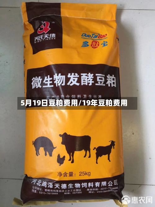 5月19日豆粕费用/19年豆粕费用