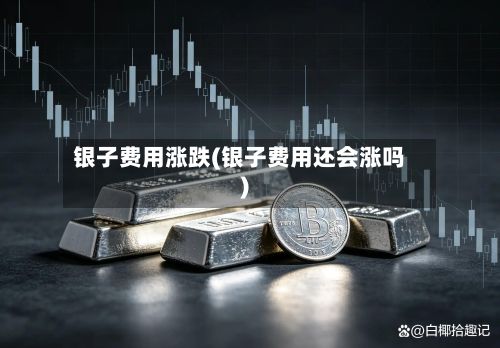 银子费用涨跌(银子费用还会涨吗)-第3张图片