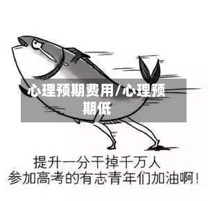 心理预期费用/心理预期低