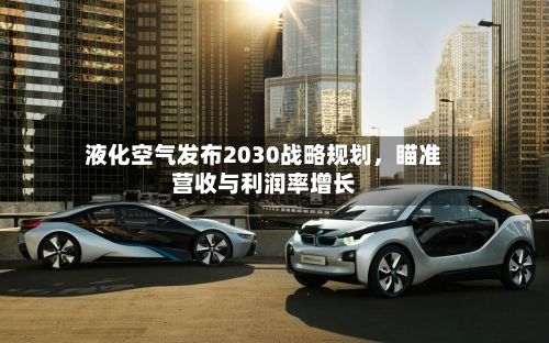 液化空气发布2030战略规划	，瞄准营收与利润率增长-第2张图片