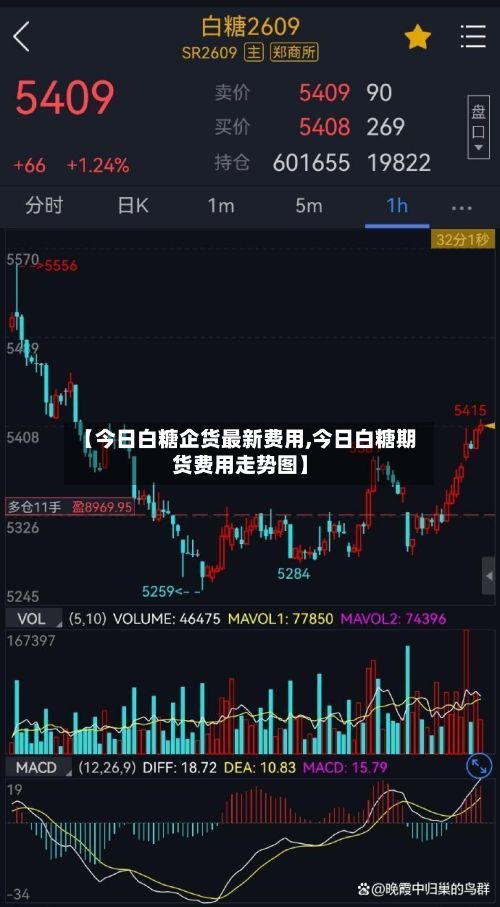 【今日白糖企货最新费用,今日白糖期货费用走势图】