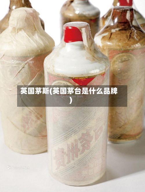 英国茅斯(英国茅台是什么品牌)-第2张图片