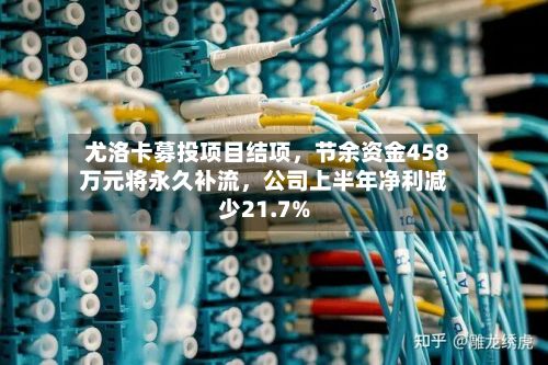 尤洛卡募投项目结项	，节余资金458万元将永久补流，公司上半年净利减少21.7%-第3张图片