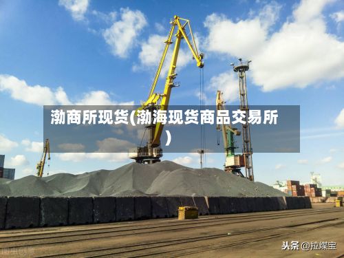 渤商所现货(渤海现货商品交易所)-第3张图片