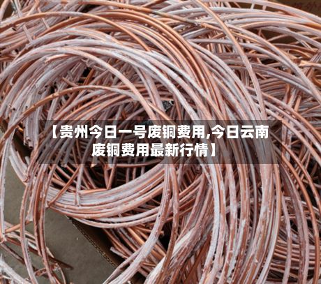 【贵州今日一号废铜费用,今日云南废铜费用最新行情】-第3张图片