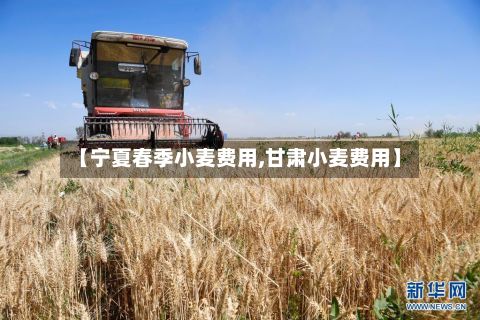 【宁夏春季小麦费用,甘肃小麦费用】-第2张图片