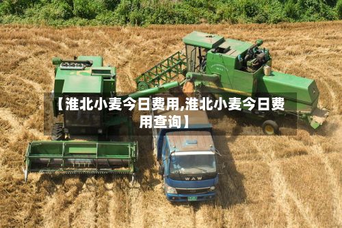 【淮北小麦今日费用,淮北小麦今日费用查询】-第2张图片